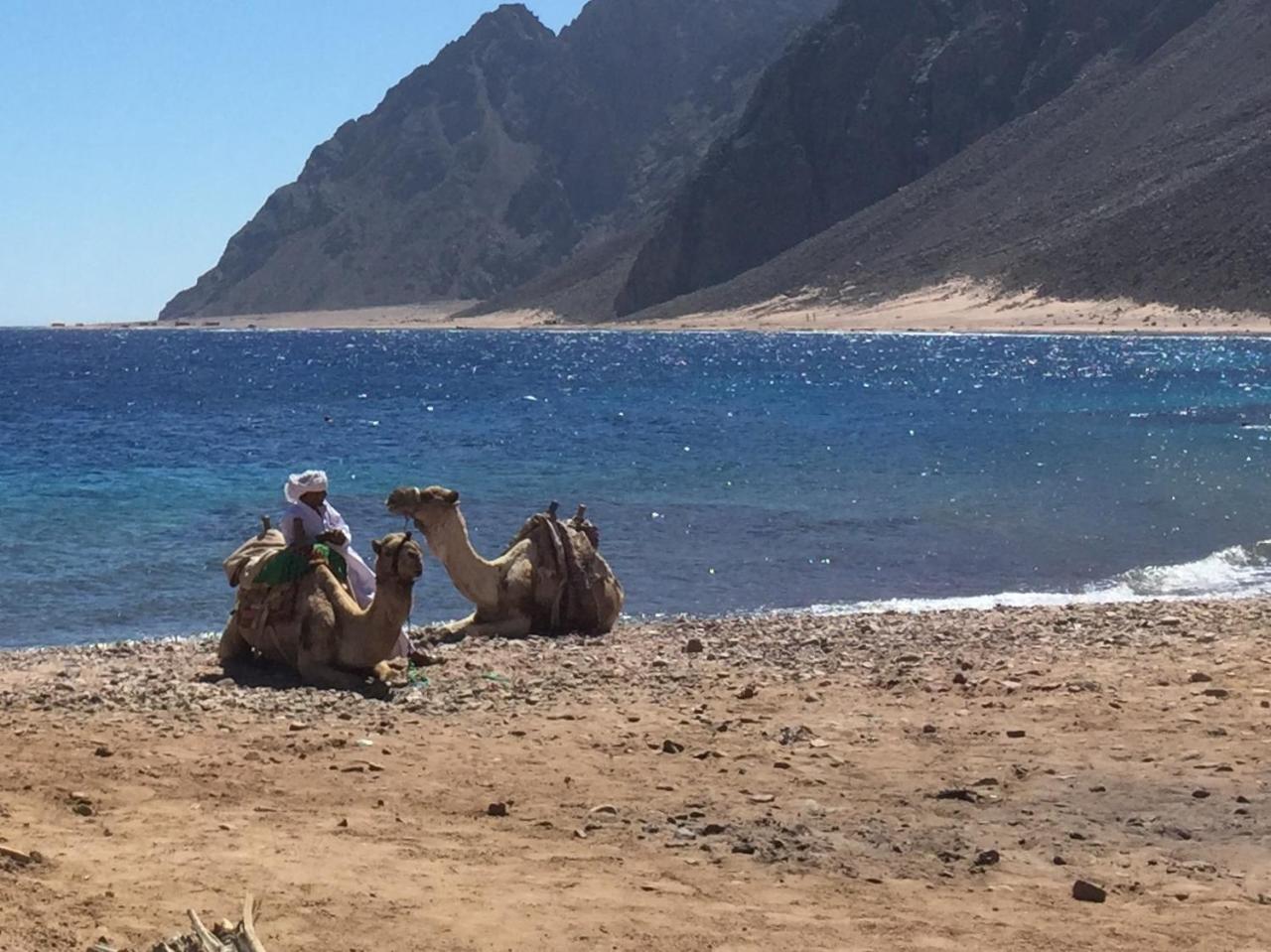 Inmo Divers Home Dahab Exterior photo